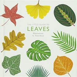 The Little Guide to Leaves - Quadrille Publishing Ltd