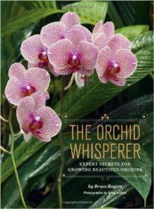 The Orchid Whisperer: Expert Secrets for Growing Beautiful Orchids - 1