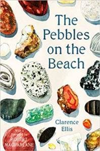 The Pebbles On The Beach - 1