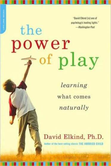 The Power of Play - Da Capo Press