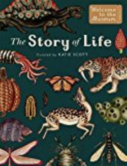 The Story Of Life Evolution - Big Picture Press