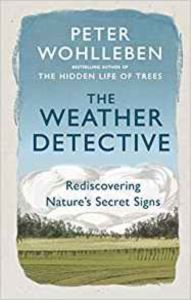 The Weather Detective: Rediscovering Nature's Secret Signs - Rider Books
