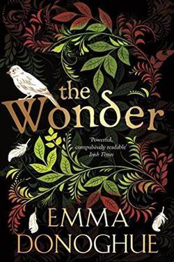The Wonder - Picador UK