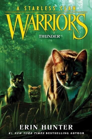 Thunder - Warriors. A Starless Clan - Harper Collins USA