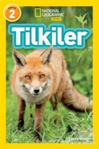 Tilkiler - Seviye 2 - National Geographic Kids
