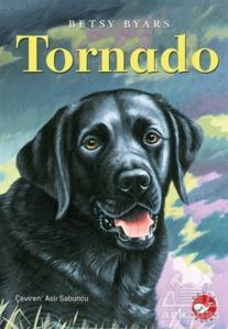 Tornado - 1