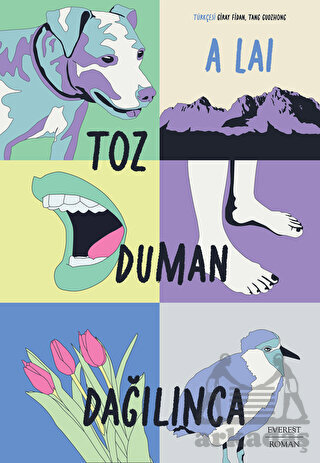 Toz Duman Dağılınca - Everest Yayınları