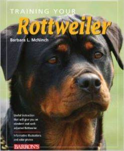 Training Your Rotweiler - Barron's