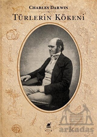 Türlerin Kökeni - Ayrıntı Yayınları