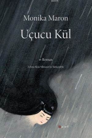 Uçucu Kül - 1