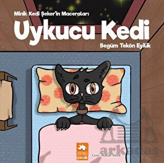 Uykucu Kedi - 1