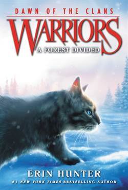 Warriors: Dawn of the Clans 5: A Forest Divided - Harper Collins USA