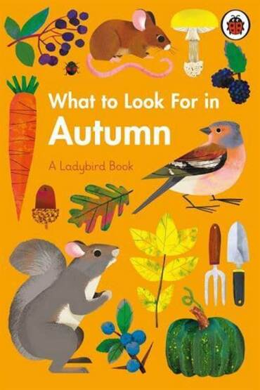 What to Look For in Autumn - Ladybird
