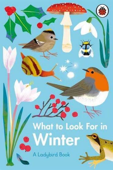 What to Look For in Winter - Ladybird