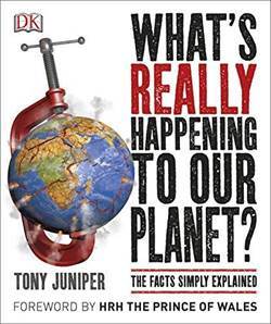 What's Really Happening To Our Planet - Dorling Kindersley UK