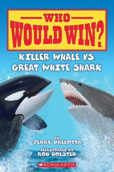 Who Would Win? Killer Whale vs. Great White Shark - Scholastic USA