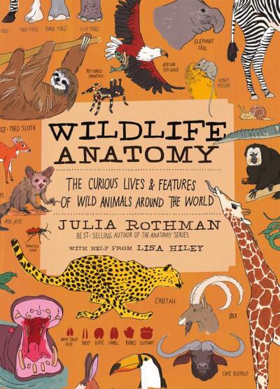 Wildlife Anatomy The Curious Lives & Features of Wild Animals Around the World - Anatomy - Storey Publishing