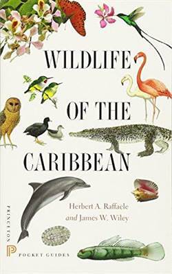 Wildlife Of The Caribbian - Princeton University Press