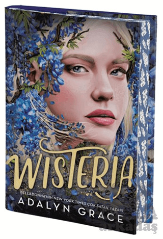 Wisteria - Artemis Yayınları