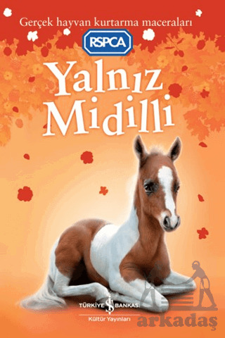 Yalnız Midilli - 1