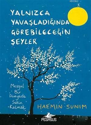 Yalnızca Yavaşladığında Görebileceğin Şeyler - Pegasus Yayınları