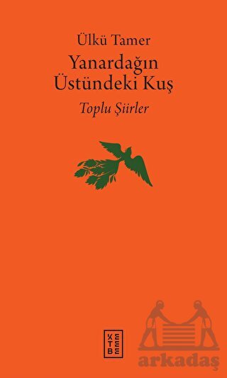 Yanardağın Üstündeki Kuş - Ketebe Yayınları