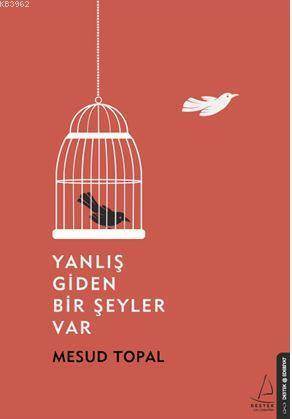 Yanlış Giden Bir Şeyler Var - Destek Yayınları