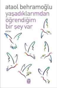 Yaşadıklarımdan Öğrendiğim Bir Şey Var - Tekin Yayınevi