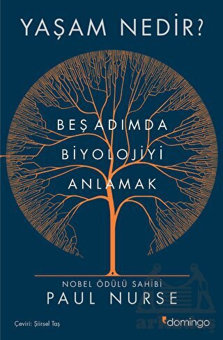 Yaşam Nedir? Beş Adımda Biyolojiyi Anlamak - Domingo Yayınevi