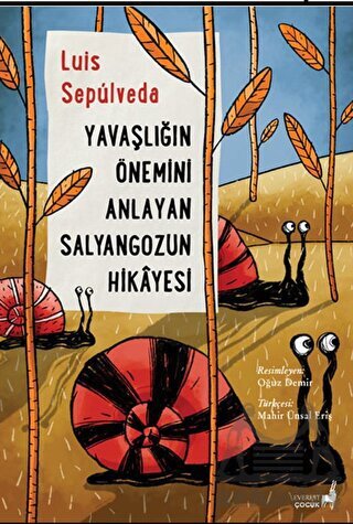 Yavaşlığın Önemini Anlayan Salyangozun Hikayesi - Everest Yayınları