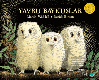 Yavru Baykuşlar - Fom Kitap