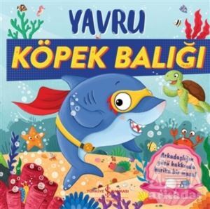 Yavru Köpek Balığı - 1