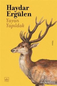 Yayan Yapıldak - İthaki Yayınları