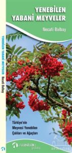 Yenebilen Yabani Meyveler - Avantür Kitap