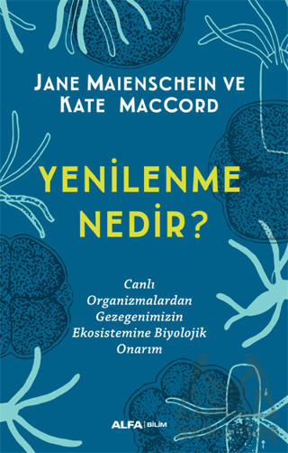 Yenilenme Nedir? - Alfa Yayınları