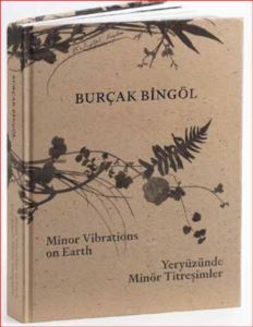 Yeryüzünde Minör Titreşimler - Yazarın Kendi Yayını Burçak Bingöl