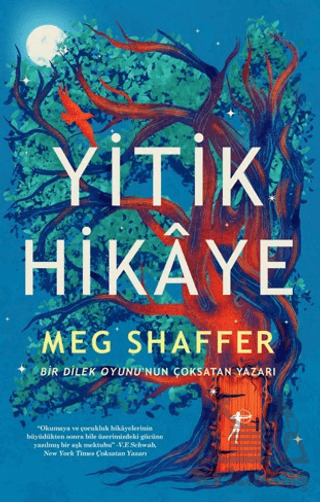 Yitik Hikaye - Artemis Yayınları