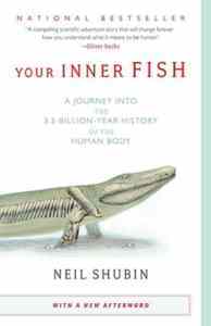 Your Inner Fish - Vintage USA