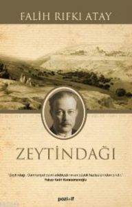 Zeytindağı - Pozitif Yayınları