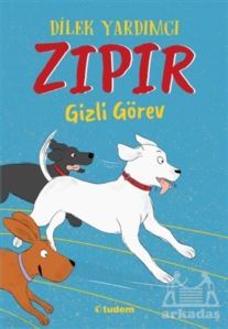 ZIPIR Gizli Görev - Tudem Yayınları